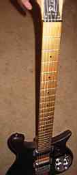 Rickenbacker 650-D fretboard.jpg